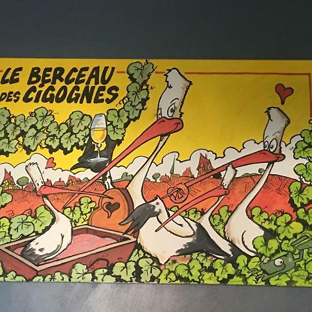 Au Berceau Des Cigognes Lejlighed Sélestat Eksteriør billede